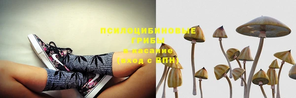 молекула духа Баксан