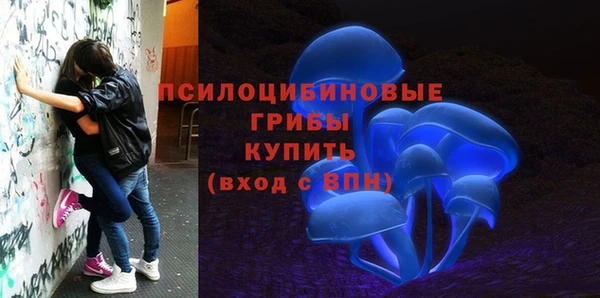 молекула духа Баксан
