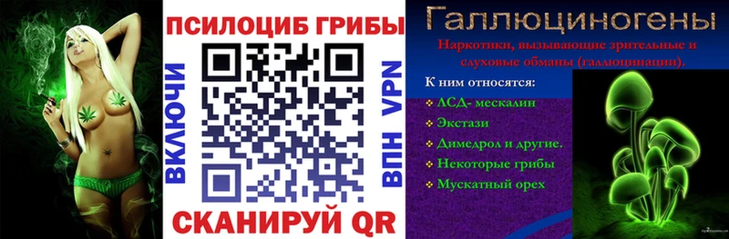 наркошоп  Курильск  Псилоцибиновые грибы MAGIC MUSHROOMS 
